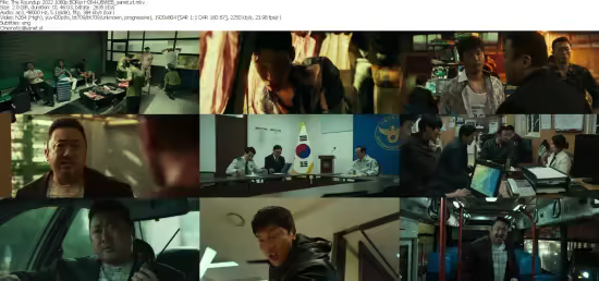 The Roundup 2022 1080p BDRip H264-UBWEB
