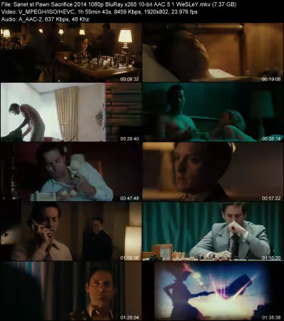 Pawn Sacrifice 2014 1080p BluRay x265 10-bit AAC 5.1 WeSLeY
