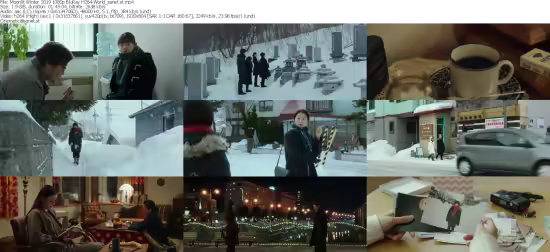 Moonlit Winter 2019 1080p BluRay H264-World