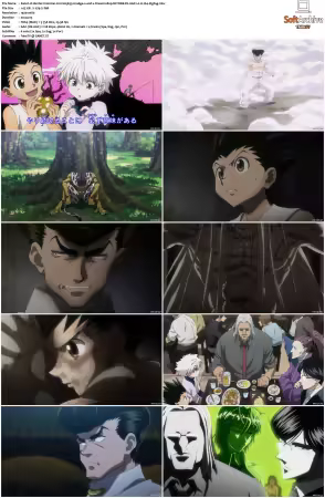 Hunter x Hunter 2011 S01-S06 1080p NF WEB-DL AAC2.0 H264-ZigZag
