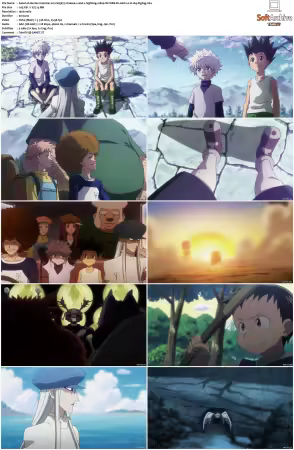 Hunter x Hunter 2011 S01-S06 1080p NF WEB-DL AAC2.0 H264-ZigZag
