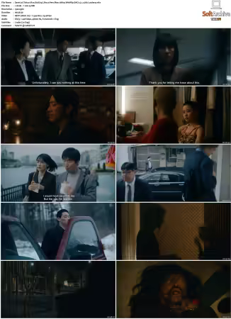 Tokyo Vice S01 S02 1080p WebRip EAC3 5.1 x265-Lootera
