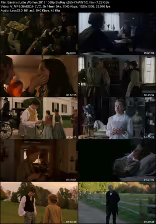 Little Women 2019 1080p BluRay x265-YAWNTiC