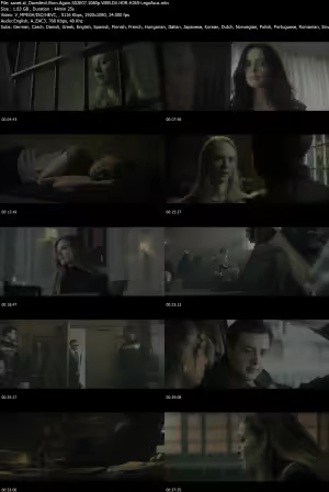Daredevil Born Again S02E07 1080p WEB DV HDR H265-LegoAsus