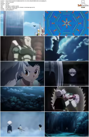 Hunter x Hunter 2011 S01-S06 1080p NF WEB-DL AAC2.0 H264-ZigZag