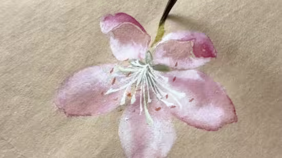 Master Techniques in Modern Chinese Ink Painting - Advanced