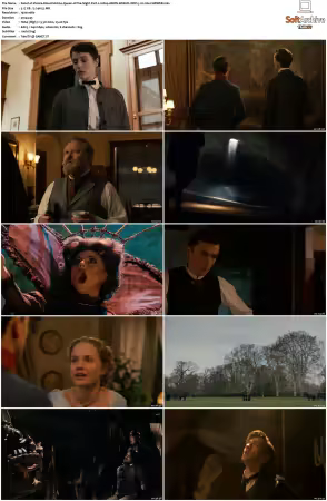 Vienna Blood S01 S04 1080p AMZN WEB-DL DDP 5.1 H264-CHDWEB