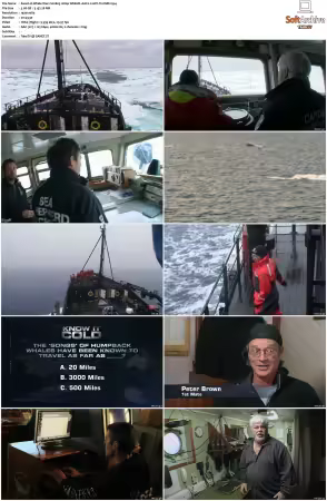 Whale Wars S02 1080p WEB-DL AAC2.0 AVC-TrollHD