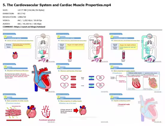 Master Human Physiology Vol.1: Cells, Blood, and Circulation
