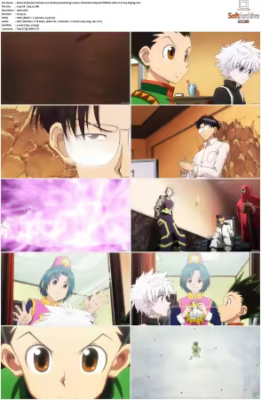 Hunter x Hunter 2011 S01-S06 1080p NF WEB-DL AAC2.0 H264-ZigZag