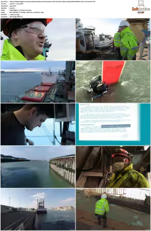 Mega Shippers Land Air and Sea S01 S03 1080p ROKU WEB-DL AAC2.0 H264-FFG