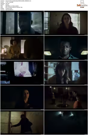Archive 81 S01 1080p WEB H264 DDP5 1-DERMAGiC