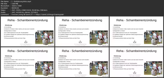 Reha Für Fußballer Mit Schambeinentzündung