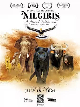 Nilgiris A Shared Wilderness 2024 1080p WEB H264-SHIIIT