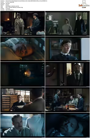 Vienna Blood S01 S04 1080p AMZN WEB-DL DDP 5.1 H264-CHDWEB