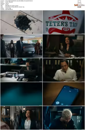 High Potential S02 RERIP 720p 10bit WEBRip 2CH x265 HEVC-PSA