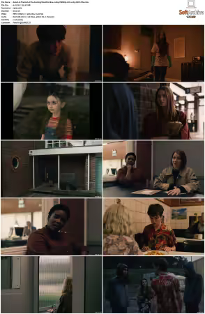 The End of the Fucking World S01 1080p WEBRip 6CH x265 HEVC-PSA