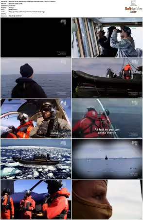 Whale Wars S04 1080i HDTV DD5.1 MPEG2-TrollHD