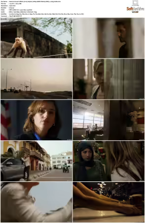 Covert Affairs 2010 S01-S05 1080p AMZN Webrip DDP5.1 x265-Vialle