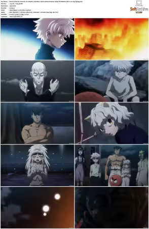 Hunter x Hunter 2011 S01-S06 1080p NF WEB-DL AAC2.0 H264-ZigZag