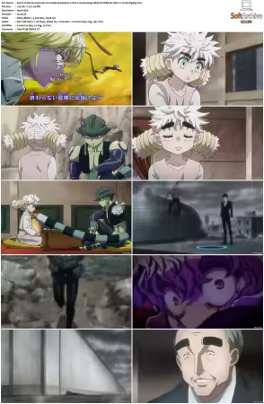 Hunter x Hunter 2011 S01-S06 1080p NF WEB-DL AAC2.0 H264-ZigZag