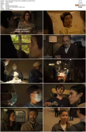 The Good Doctor S01-S07 720p WEBRip 2CH x265 HEVC-PSA