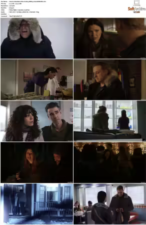Resident Alien S01 S04 BDRip x264-BORDURE