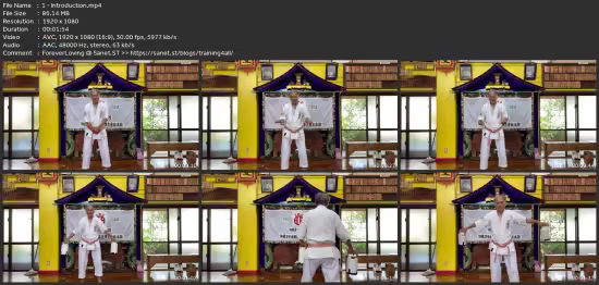 Sanchin And Tensho | Hokama Academy