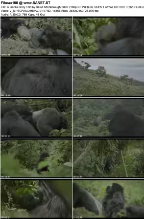 A Gorilla Story Told by David Attenborough 2026 2160p NF WEB-DL DDP5.1 Atmos DV HDR H265-FLUX