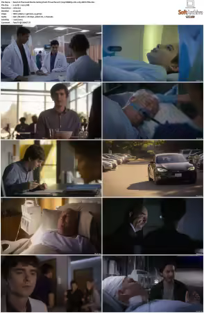 The Good Doctor S01 S07 720p WEBRip 2CH x265 HEVC-PSA