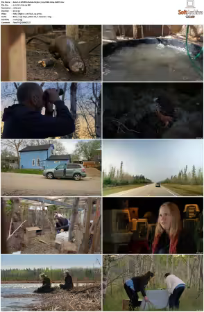 Wildlife Rehab S03 720p WEB H264-SHIIIT