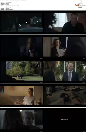The Diplomat S03 1080p x265-AMBER