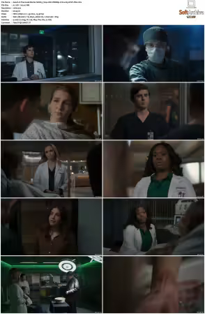 The Good Doctor S01-S07 720p WEBRip 2CH x265 HEVC-PSA