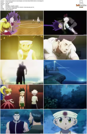 Hunter x Hunter 2011 S01-S06 1080p NF WEB-DL AAC2.0 H264-ZigZag