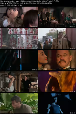 Double Impact 1991 Remastered 1080p BluRay x264-OFT