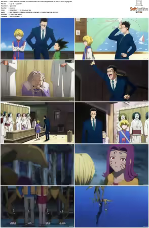 Hunter x Hunter 2011 S01-S06 1080p NF WEB-DL AAC2.0 H264-ZigZag