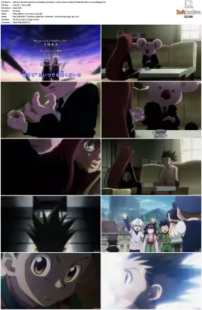 Hunter x Hunter 2011 S01-S06 1080p NF WEB-DL AAC2.0 H264-ZigZag