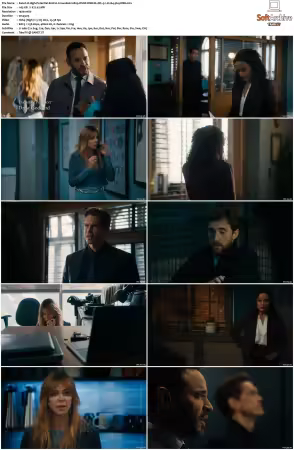 High Potential S01 S02 1080p DSNP WEB-DL DDP5.1 H264-NTb