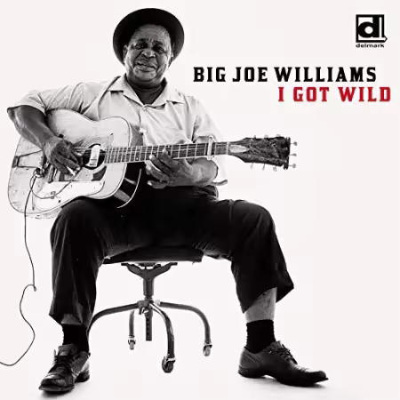 Big Joe Williams - I Got Wild (2003)[FLAC/MP3]