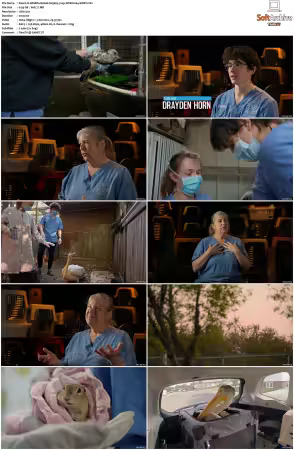 Wildlife Rehab S03 720p WEB H264-SHIIIT