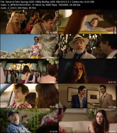 Palm Springs 2020 1080p BluRay x265 10bit EAC3 5.1 Celdra