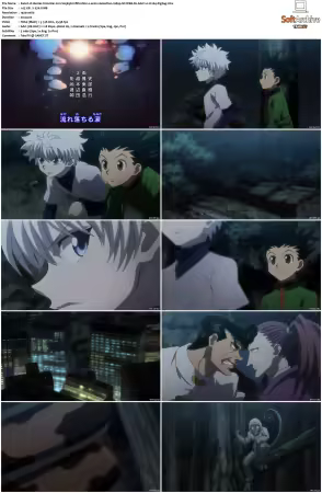 Hunter x Hunter 2011 S01-S06 1080p NF WEB-DL AAC2.0 H264-ZigZag