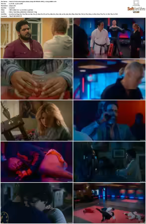 Cobra Kai S05 2160p NF WEB-DL DDP5.1 H265-XEBEC