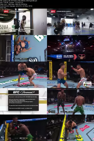 UFC 327 Prelims 720p WEB-DL H264 Fight-BB