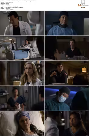 The Good Doctor S01 S07 720p WEBRip 2CH x265 HEVC-PSA