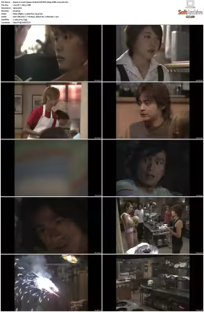 Lunch Queen S01 VOSTFR 1080p WEB x264-FW