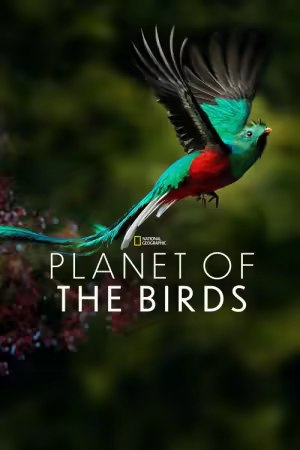 Planet of the Birds 2018 1080p WEB H264-SHIIIT