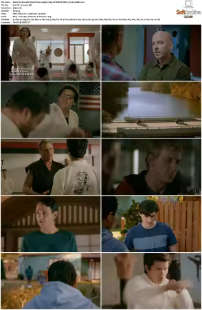Cobra Kai S02 2160p NF WEB-DL DDP5 1 H 265-XEBEC