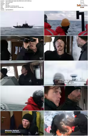 Whale Wars S03 1080p WEB-DL AAC2.0 AVC-TrollHD