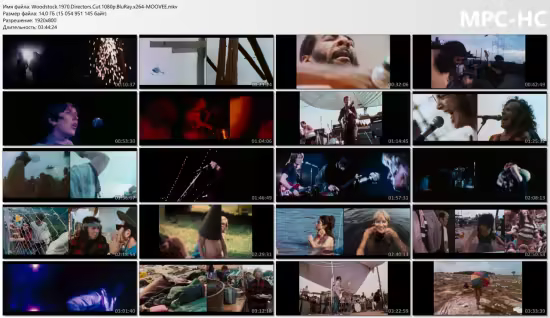 Woodstock - 40th Anniversary Director's Cut (2014) BDRip 1080p